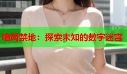 喑网禁地：探索未知的数字迷宫