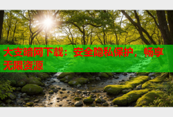 大支暗网下载：安全隐私保护，畅享无限资源