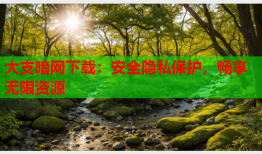 大支暗网下载：安全隐私保护，畅享无限资源