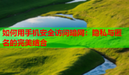 如何用手机安全访问暗网：隐私与匿名的完美结合