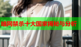 暗网禁杀十大国家揭秘与分析