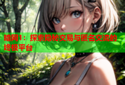 暗网1：探索隐秘交易与匿名交流的终极平台