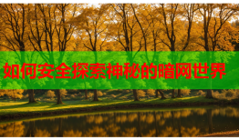 如何安全探索神秘的暗网世界