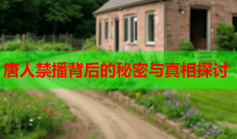 唐人禁播背后的秘密与真相探讨