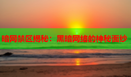 暗网禁区揭秘：黑暗网络的神秘面纱
