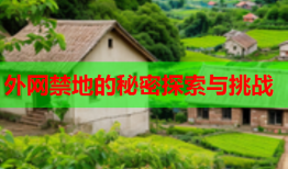 外网禁地的秘密探索与挑战