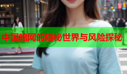 中国暗网的隐秘世界与风险探秘