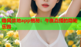 暗网禁地app揭秘：午夜直播的隐秘乐园