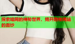 探索暗网的神秘世界，揭开隐秘网站的面纱