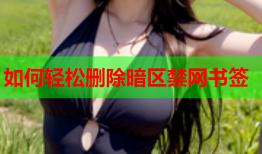 如何轻松删除暗区禁网书签
