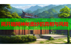 揭开暗网神秘面纱的真相与风险