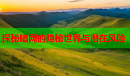 探秘暗网的隐秘世界与潜在风险