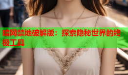 暗网禁地破解版：探索隐秘世界的终极工具