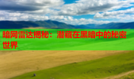 暗网雷达揭秘：潜藏在黑暗中的秘密世界