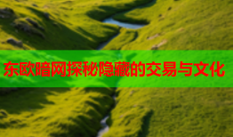 东欧暗网探秘隐藏的交易与文化