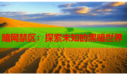 暗网禁区：探索未知的黑暗世界