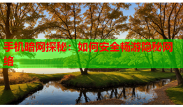 手机暗网探秘：如何安全畅游隐秘网络