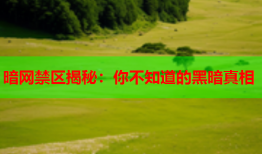 暗网禁区揭秘：你不知道的黑暗真相