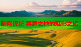 暗网探秘 禁忌之地的魅影之旅