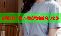 暗网探秘：潜入黑暗网络的奇幻之旅