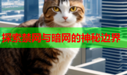 探索禁网与暗网的神秘边界