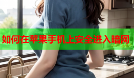 如何在苹果手机上安全进入暗网