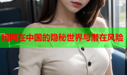 暗网在中国的隐秘世界与潜在风险