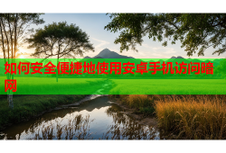 如何安全便捷地使用安卓手机访问暗网