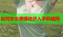 如何安全便捷地进入手机暗网