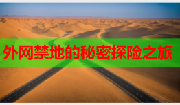 外网禁地的秘密探险之旅