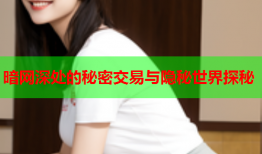 暗网深处的秘密交易与隐秘世界探秘
