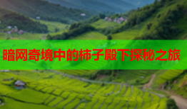 暗网奇境中的柿子殿下探秘之旅