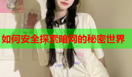 如何安全探索暗网的秘密世界
