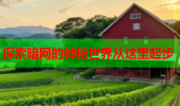 探索暗网的神秘世界从这里起步