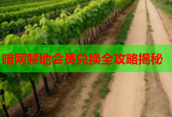 暗网禁地会员兑换全攻略揭秘