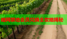 暗网禁地会员兑换全攻略揭秘