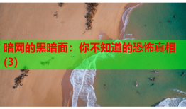 暗网的黑暗面：你不知道的恐怖真相(3)