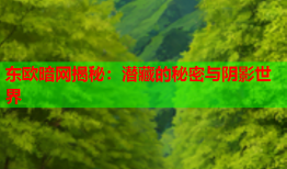 东欧暗网揭秘：潜藏的秘密与阴影世界