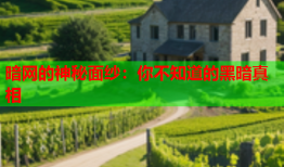 暗网的神秘面纱：你不知道的黑暗真相