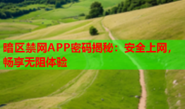 暗区禁网APP密码揭秘：安全上网，畅享无阻体验