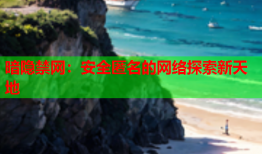 暗隐禁网：安全匿名的网络探索新天地