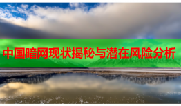 中国暗网现状揭秘与潜在风险分析