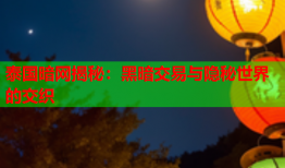 泰国暗网揭秘：黑暗交易与隐秘世界的交织