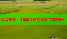 暗网探秘：18禁会员的隐秘世界揭秘