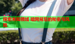探索未知领域 暗网背后的秘密与风险