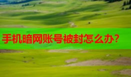 手机暗网账号被封怎么办？