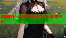暗网探秘：隐藏在黑暗中的真相与危险