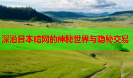 深潜日本暗网的神秘世界与隐秘交易