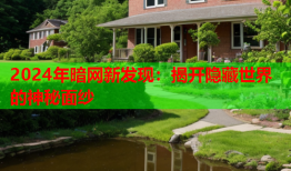 2024年暗网新发现：揭开隐藏世界的神秘面纱