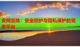 安网禁地：安全防护与隐私保护的完美平台